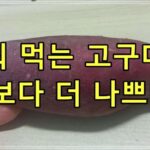 구워 먹는 고구마가 설탕보다 더 나쁘다고?