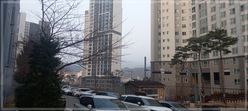 아파트 단지 내에서 바라본 산. 미세 먼지로 뿌옇다.