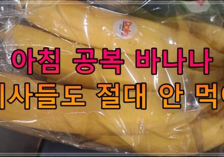 아침 공복 바나나 의사들도 절대 안 먹어