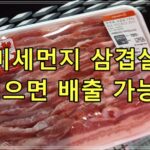 미세먼지 삼겹살 먹으면 배출 가능?
