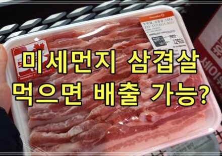 미세먼지 삼겹살 먹으면 배출 가능?