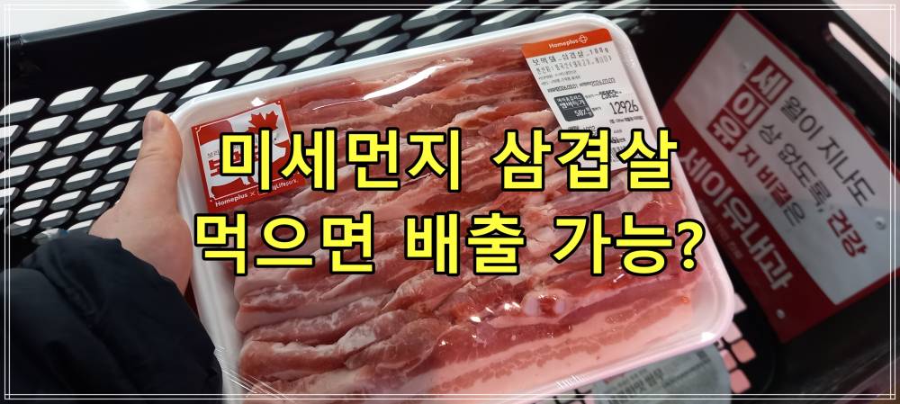 미세먼지 삼겹살 먹으면 배출 가능?