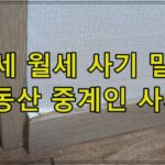 전세 월세 사기 말고, 부동산 중걔인 사기?