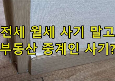 전세 월세 사기 말고, 부동산 중걔인 사기?