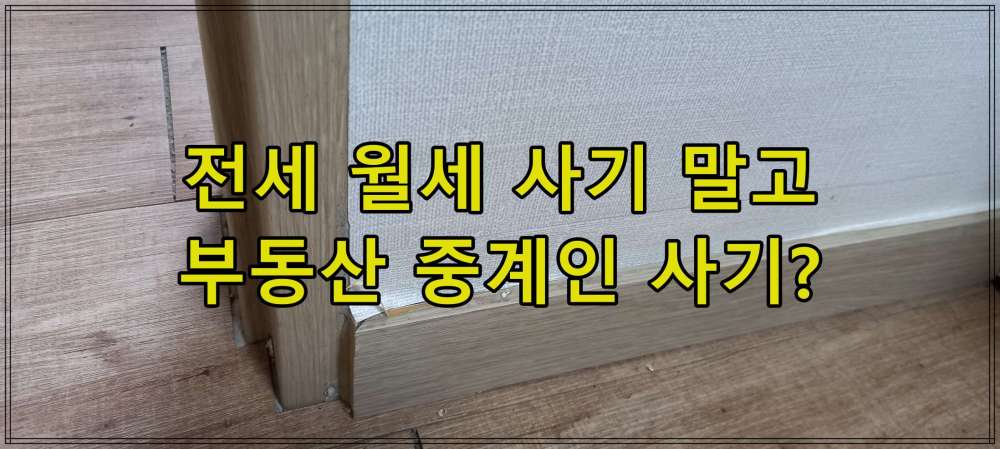 전세 월세 사기 말고, 부동산 중걔인 사기?
