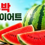 수박 다이어트 효과와 올바른 식단 방법 및 주의사항 완벽 가이드 수박다이어트 방법 및 주의 사항