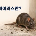 한타바이러스란?