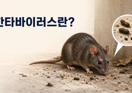 한타바이러스란?