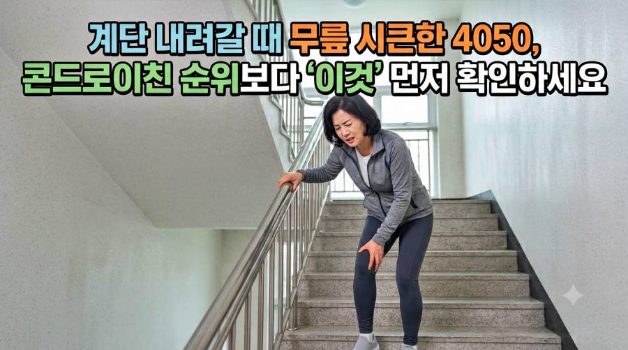 콘드로이친 순위보다 이것먼저 확인하세요.