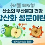 항산화 성분이란?