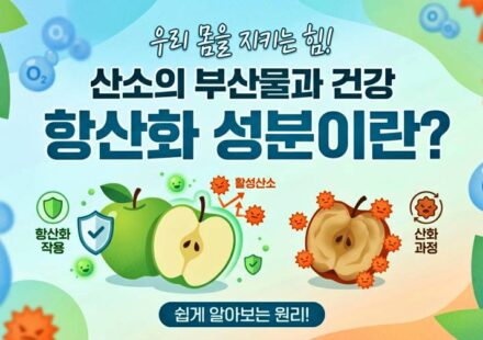 항산화 성분이란?