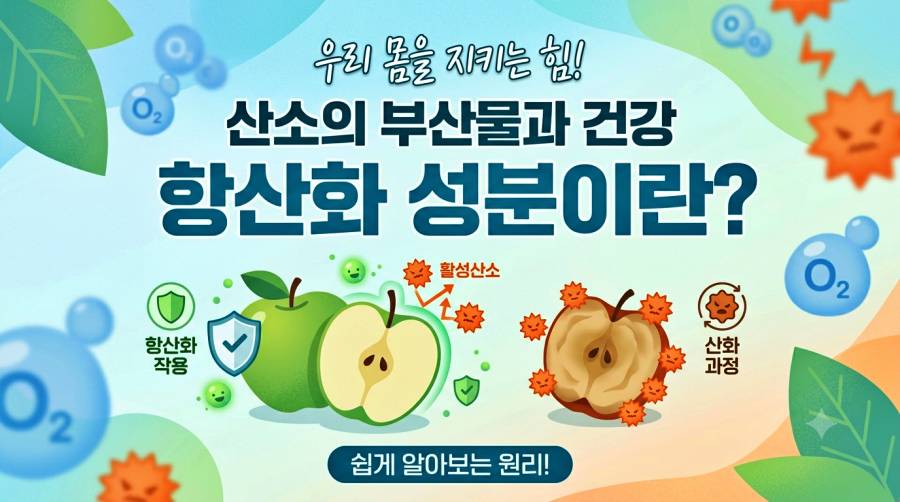 항산화 성분이란?