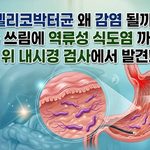 헬리코박터균 왜 감염 될까?