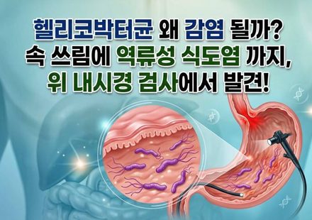 헬리코박터균 왜 감염 될까?