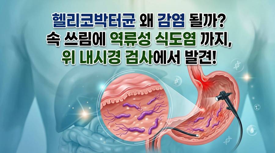 헬리코박터균 왜 감염 될까?